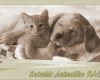 Adoption animaux PACA